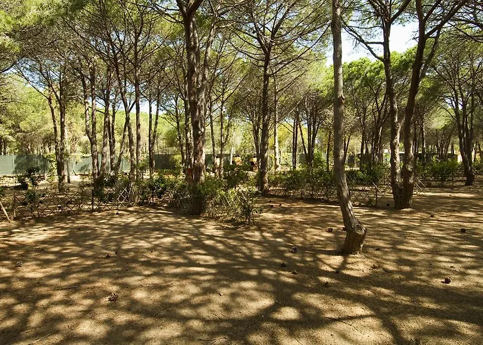 Üdülőpark Villaggio Del Riso 3*